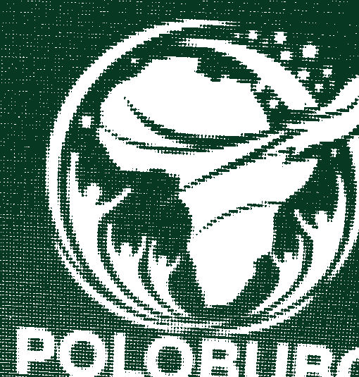 Polobubo Diaspora Initiative logo